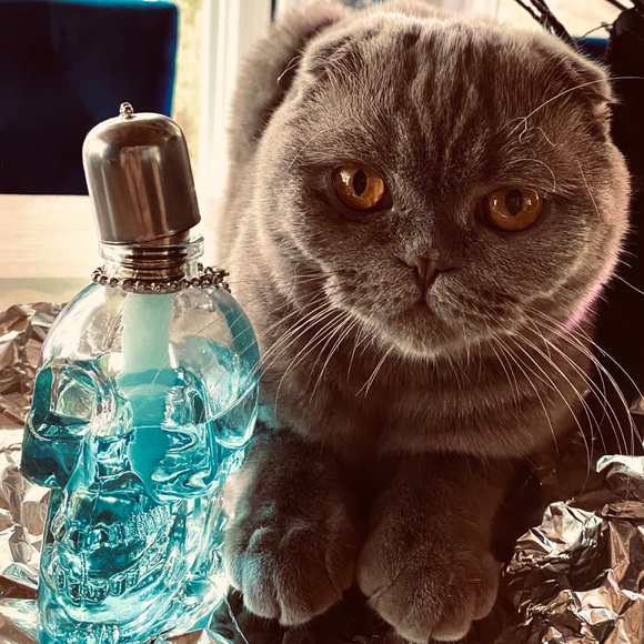 Meet your Posher, Edita - Picture 2 of 4